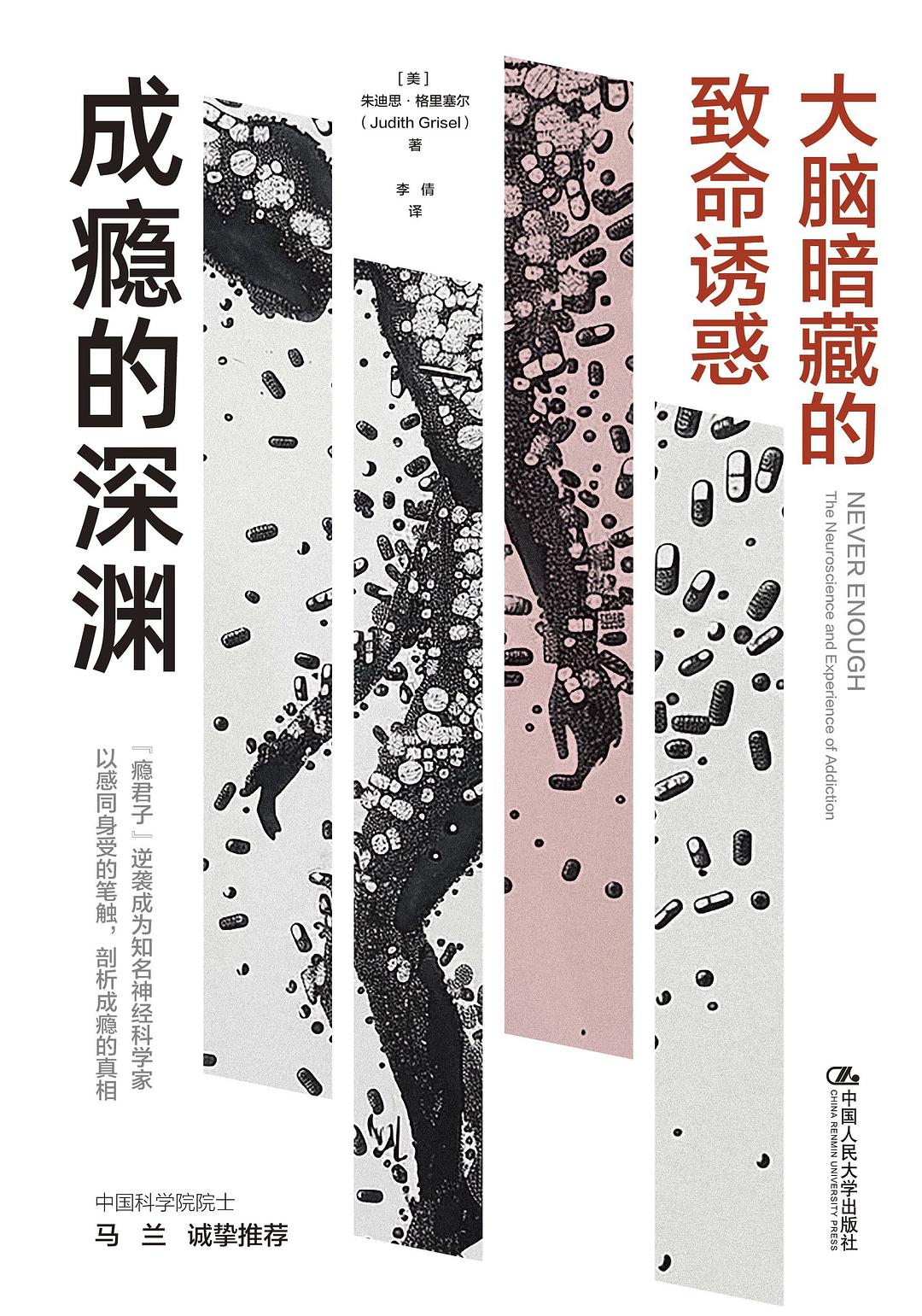 成瘾的深渊 - [美]朱迪思·格里塞尔