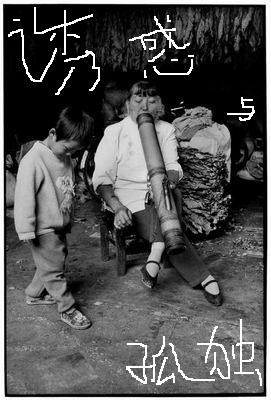 孤独与诱惑 - [英]伊丽莎白·达琳