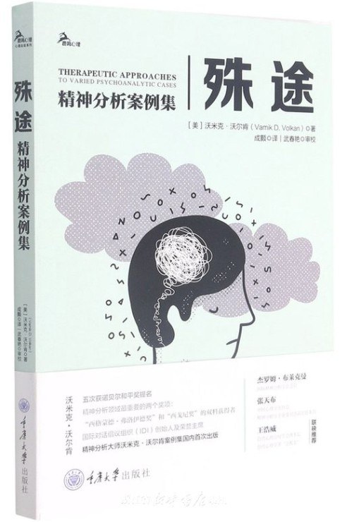 殊途：精神分析案例集 - [美]沃米克·沃尔肯