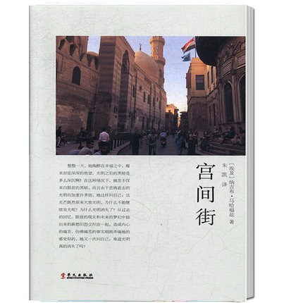 宫间街 - [埃及]纳吉布·马哈福兹