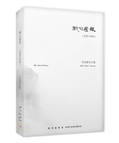 我心虚拟 - 毛培斌
