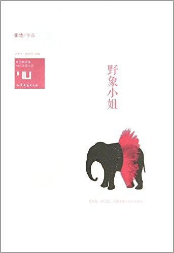 野象小姐 - 张楚