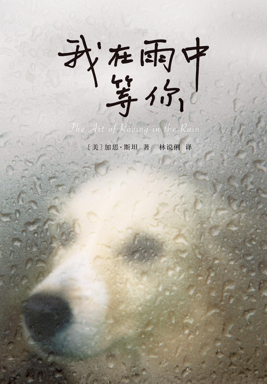 我在雨中等你 - [美]加思•斯坦