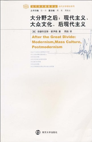 大分野之后 - [美]安德烈亚斯·胡伊森