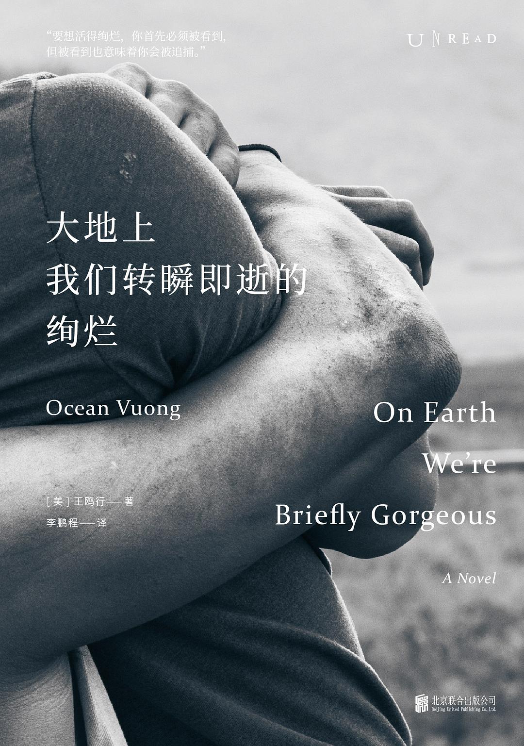 大地上我们转瞬即逝的绚烂 - 王鸥行