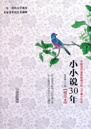 小小说30年精华本 - 杨晓敏