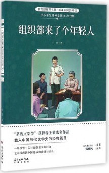组织部来了个年轻人 - 王蒙