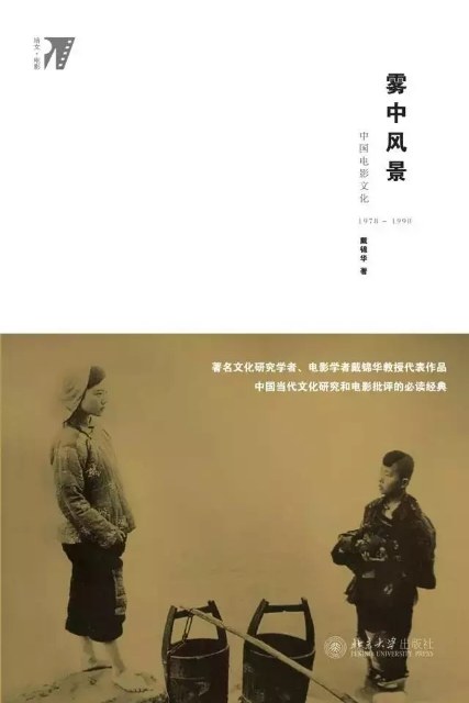 雾中风景 - 戴锦华